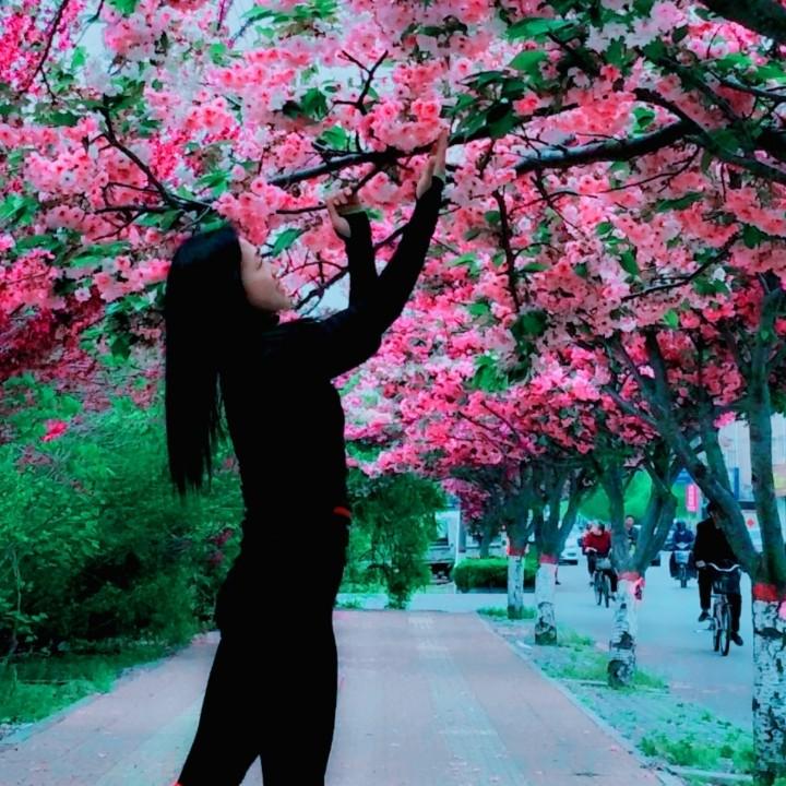 踏雪寻梅