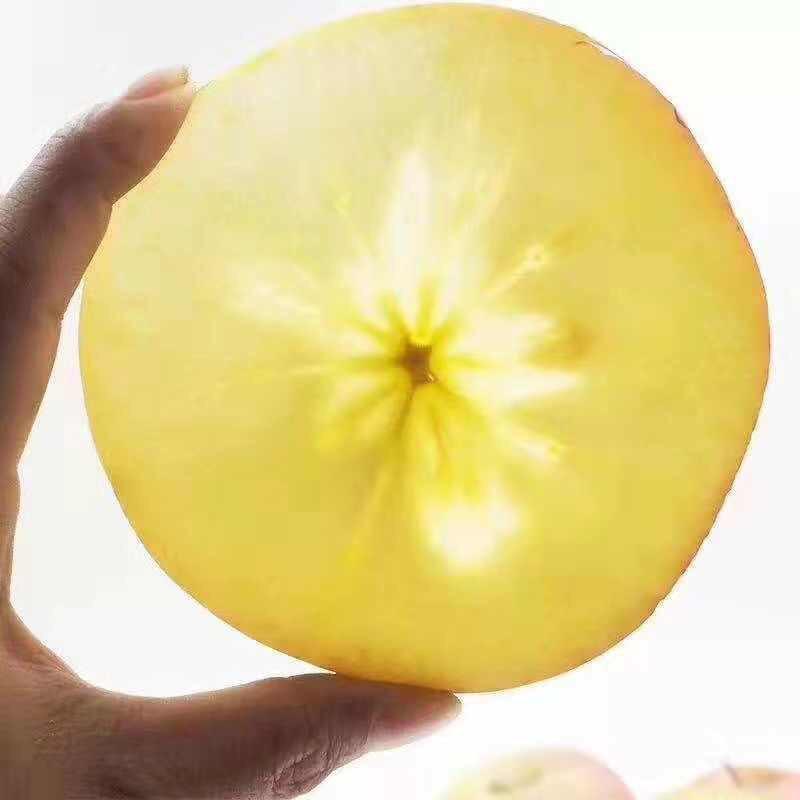 阿尔山的南