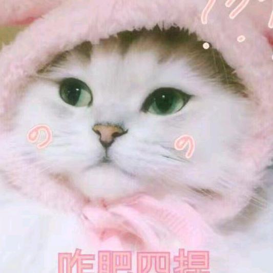 静心