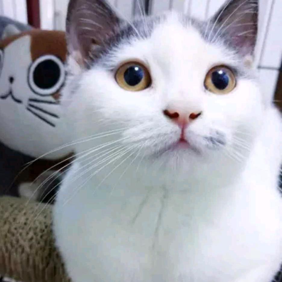 广德广进探房