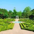 永往直前（专养肉兔）