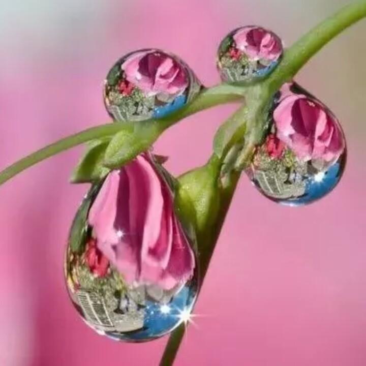 🍀独尊🍀