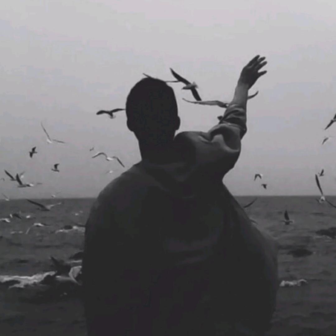 ...。。。