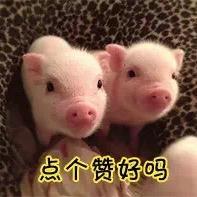 偏爱