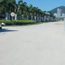 小红