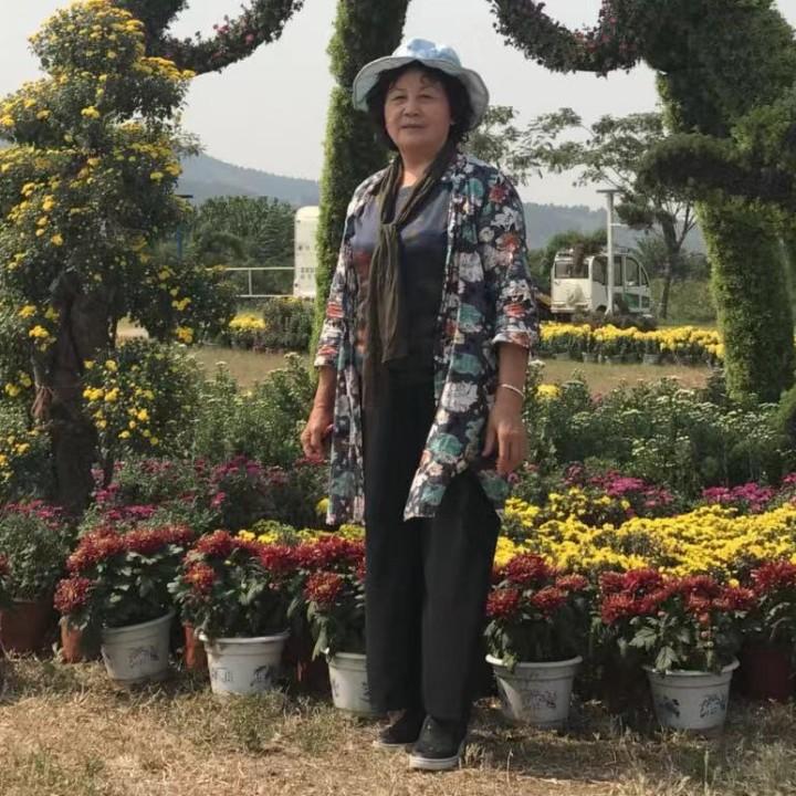 双胞胎奶奶