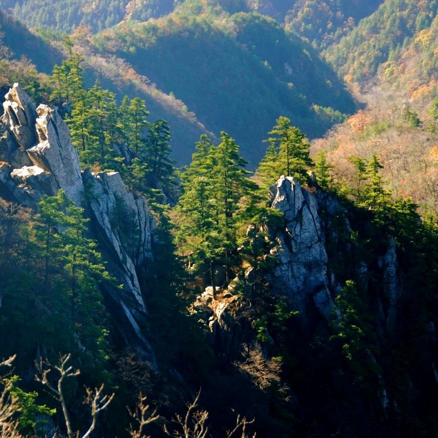 半梦半醒半沉醉