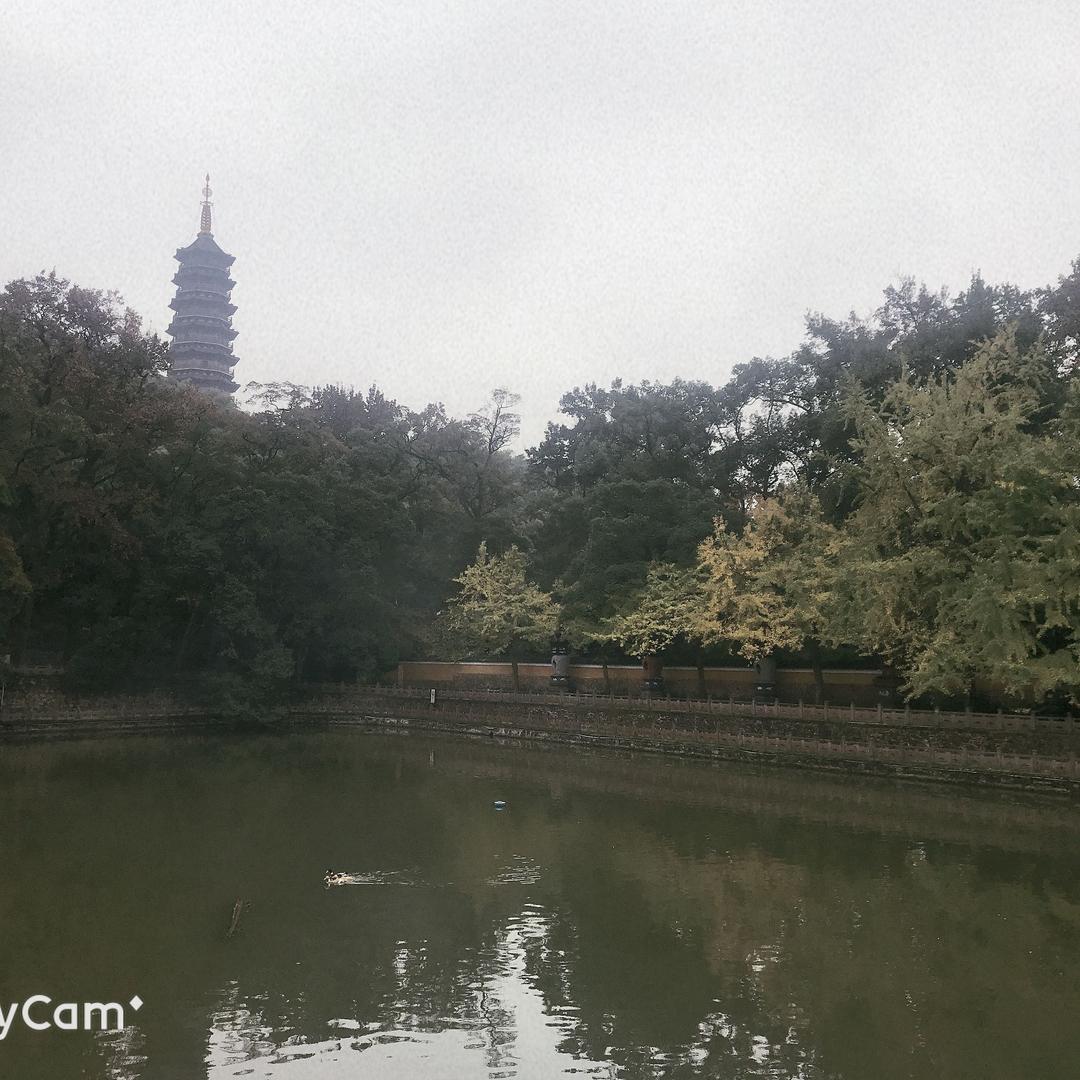翠雨