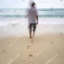 Fly