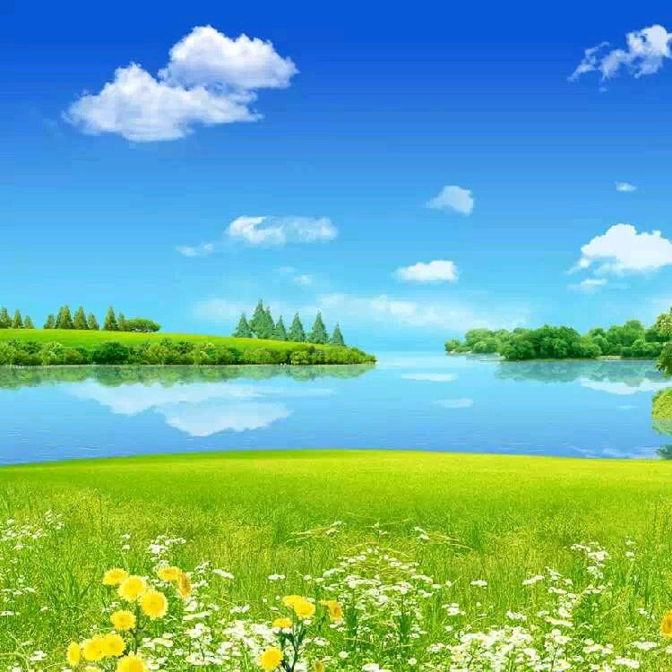 珊珊