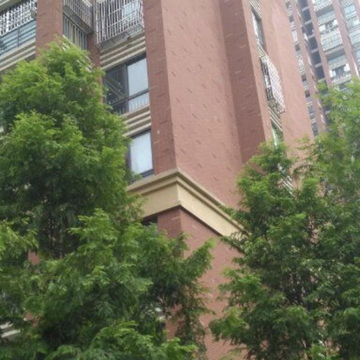 态度决定一切