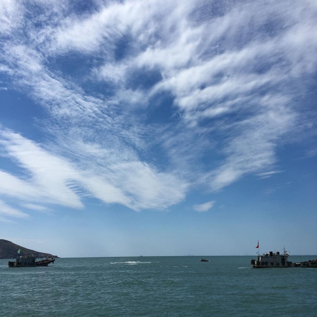 科一科