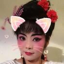 杜鹃花