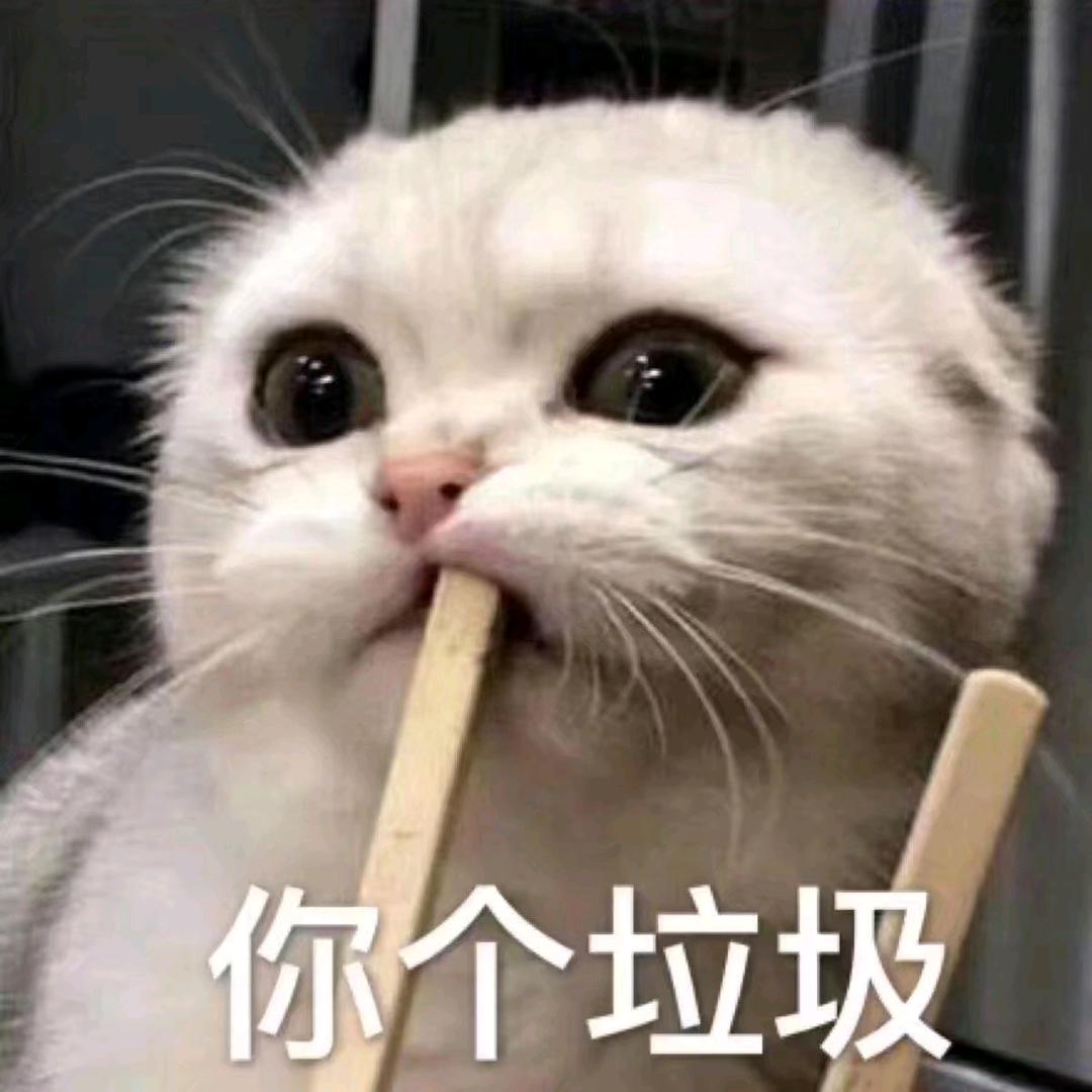 你个小智障i