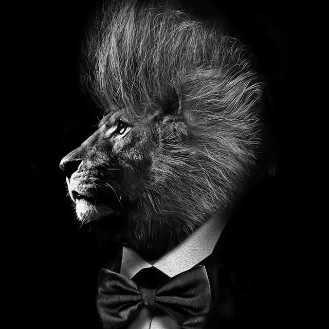 🌞🌞太阳当空照🌞🌞