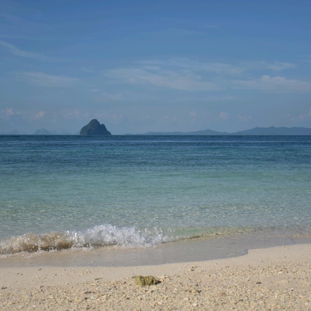 盛夏