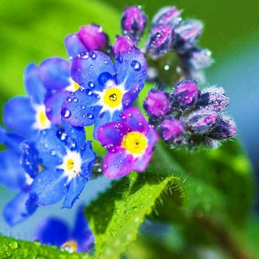 戒烟戒酒不戒你