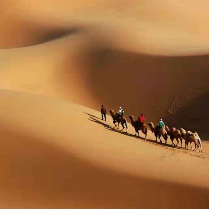 驻马店王志杰专业家具维修漆面维修修漆团队