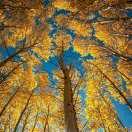 🌈雪🌈落🌈无🌈痕🌈