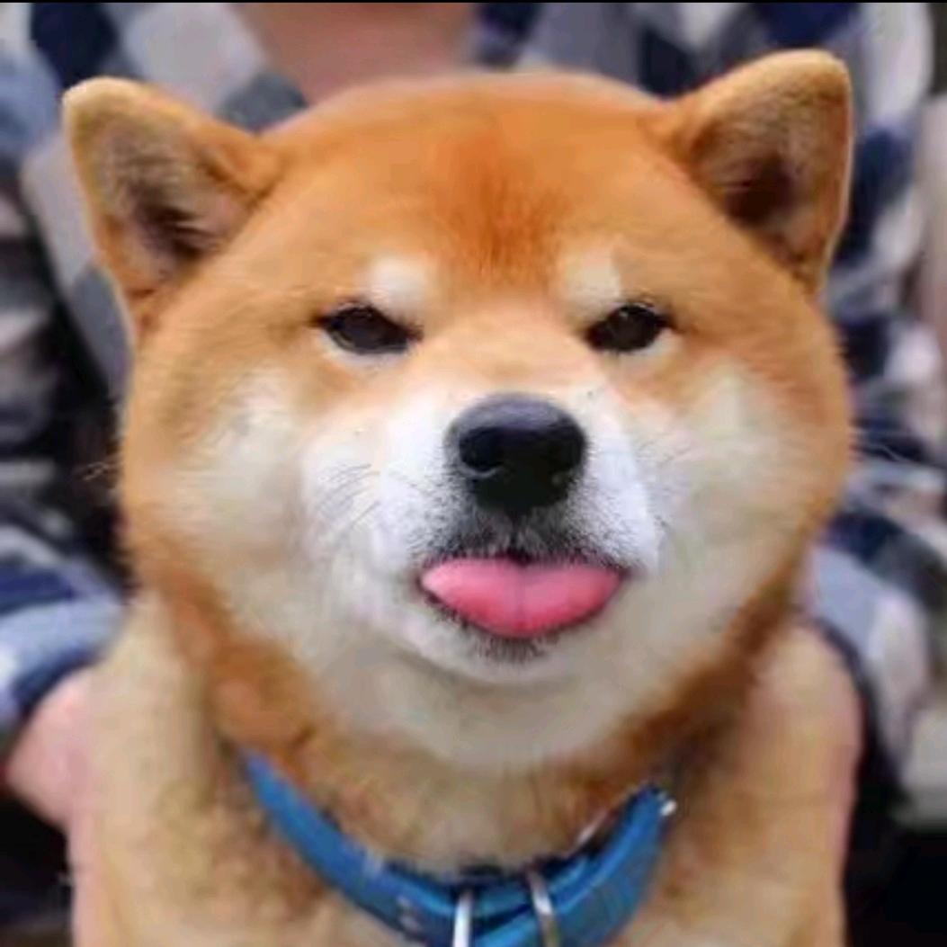 奔跑的小熊
