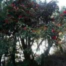 ☔️从你的世界路过☔️