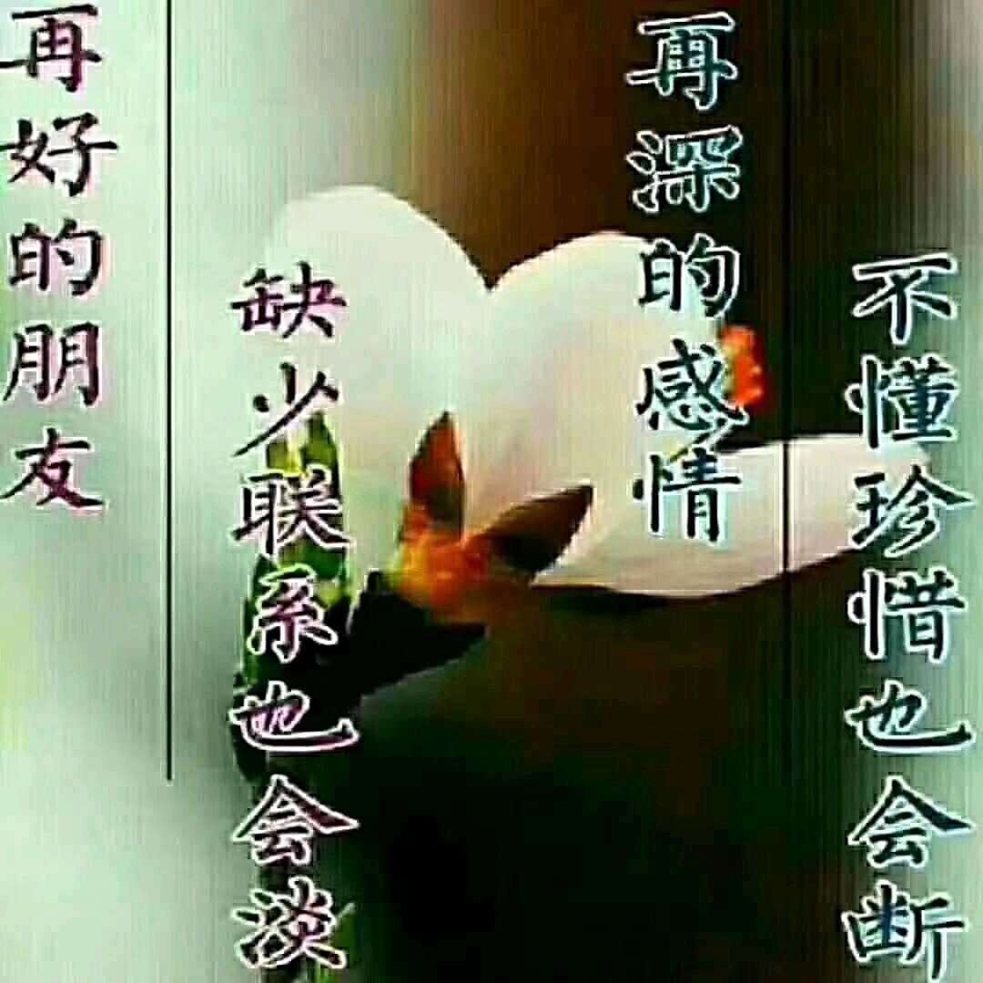 开开心心的过好每一天