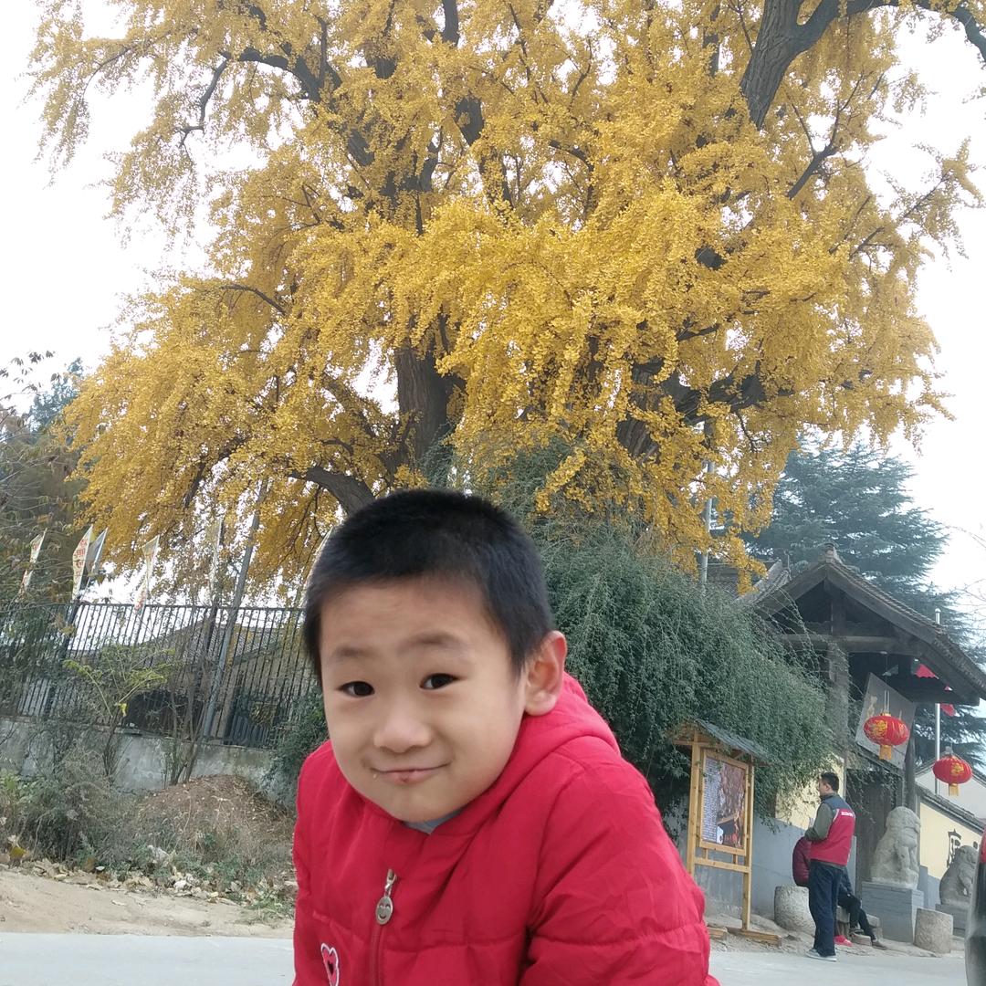 英子