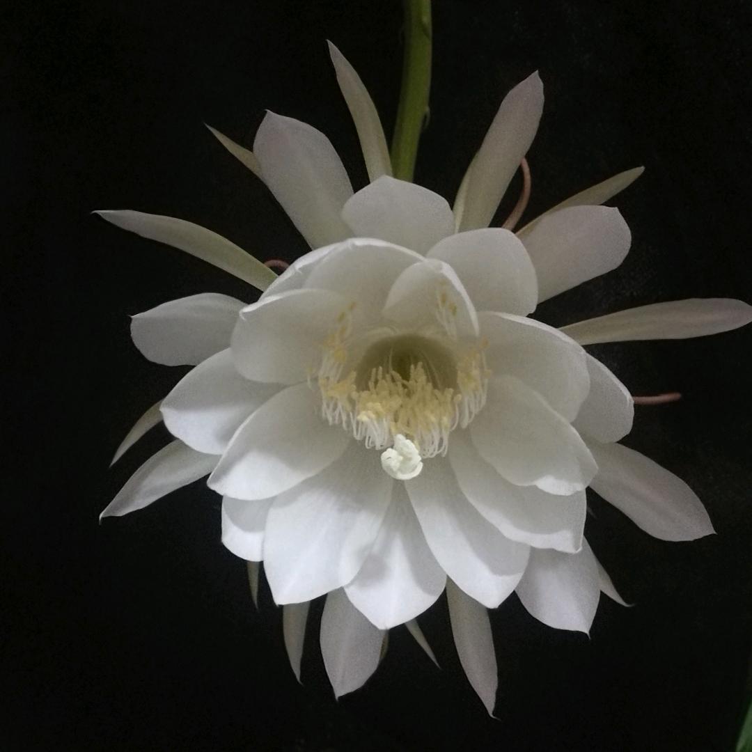 麒麟鑫城万物集