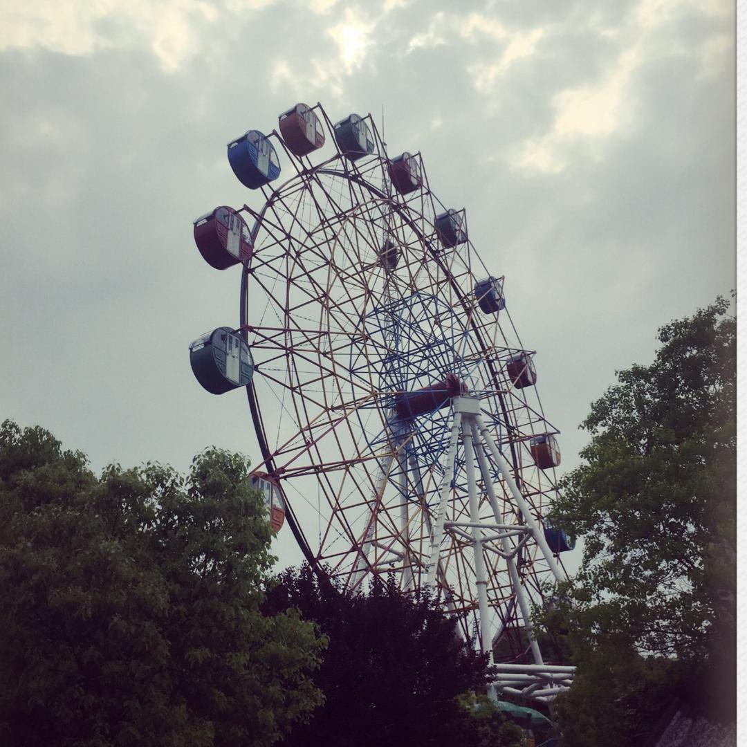 夏 树