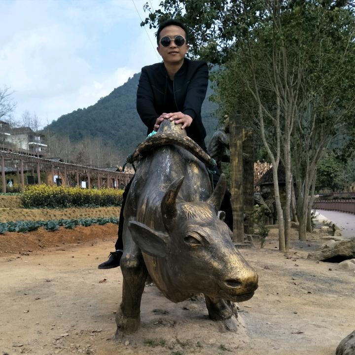 自由自在