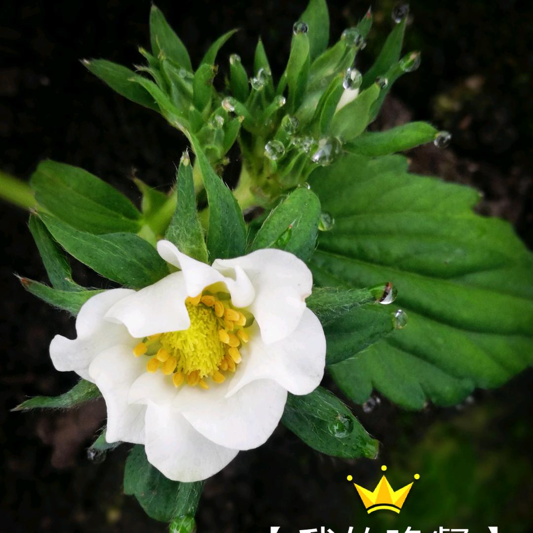 半日手工坊（心中有海）