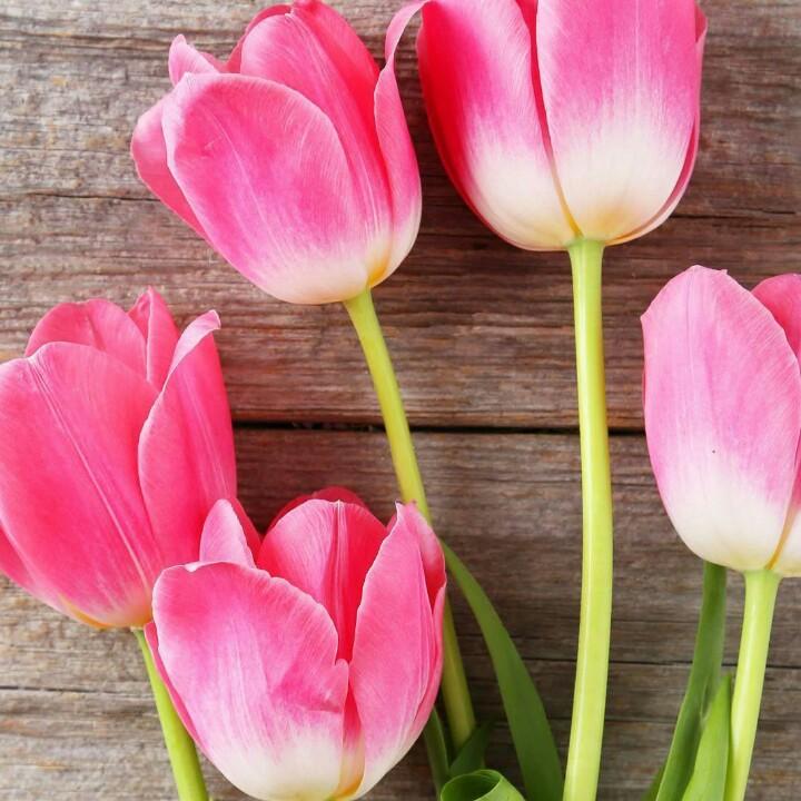 ✨跟着✨感觉走🌷