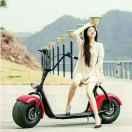 石家庄台铃电动车西里店