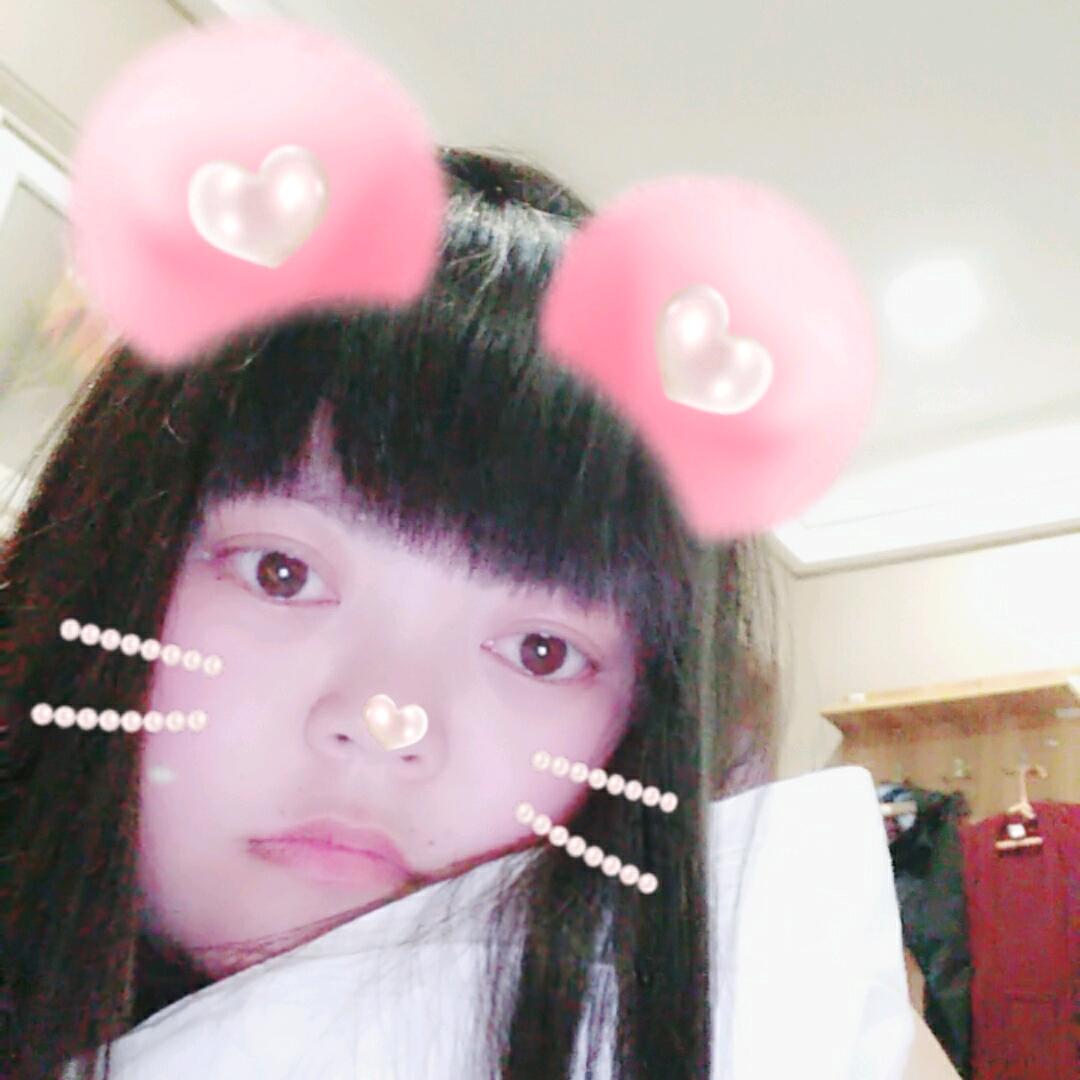 金菊 柠檬