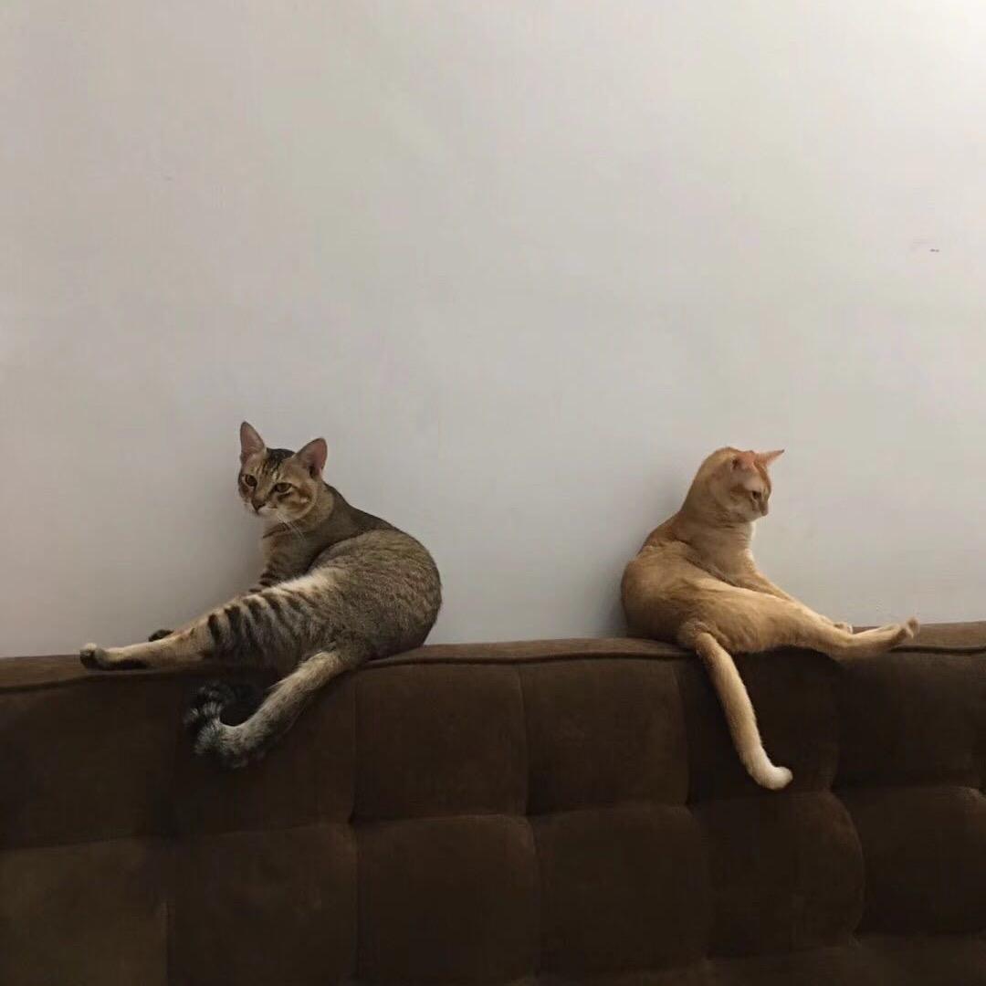 玲
