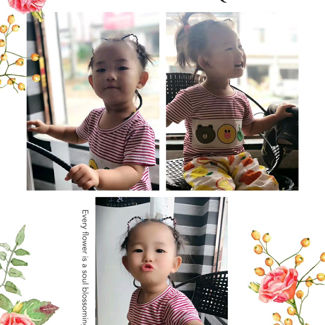 开封狮头鹅