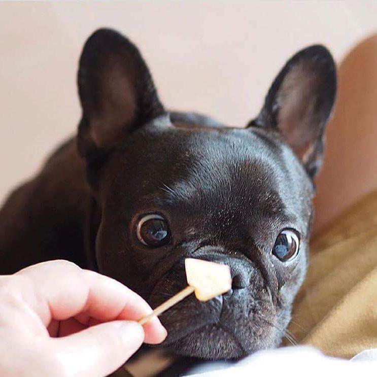 味道随缘