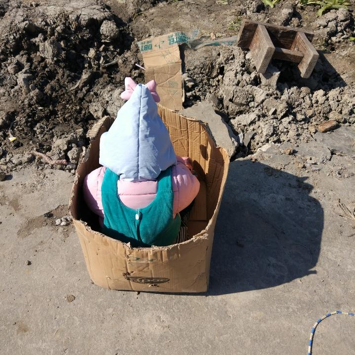 娃哈哈呀🍎娃哈哈😏