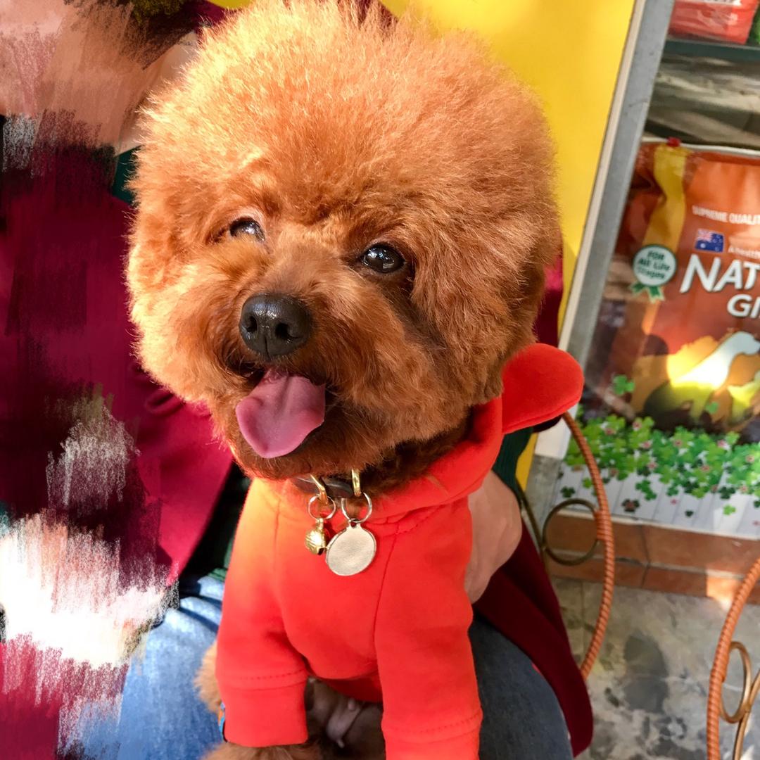 张小乖同学🍖