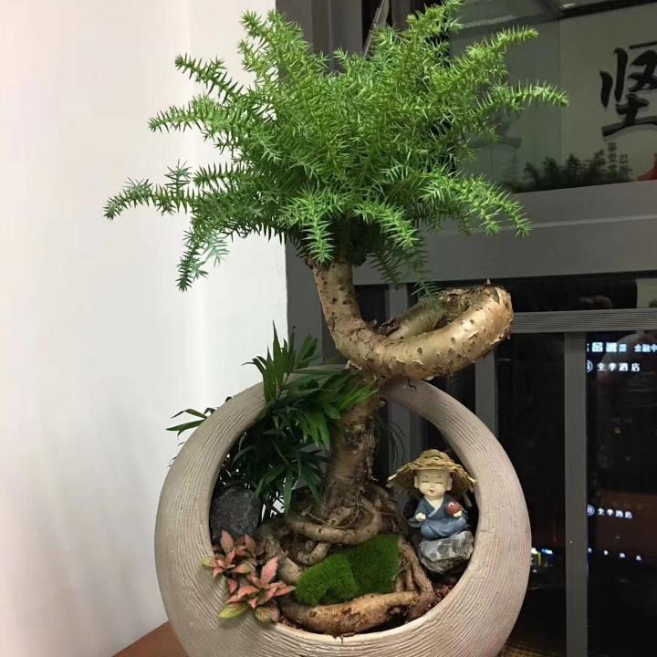 不才