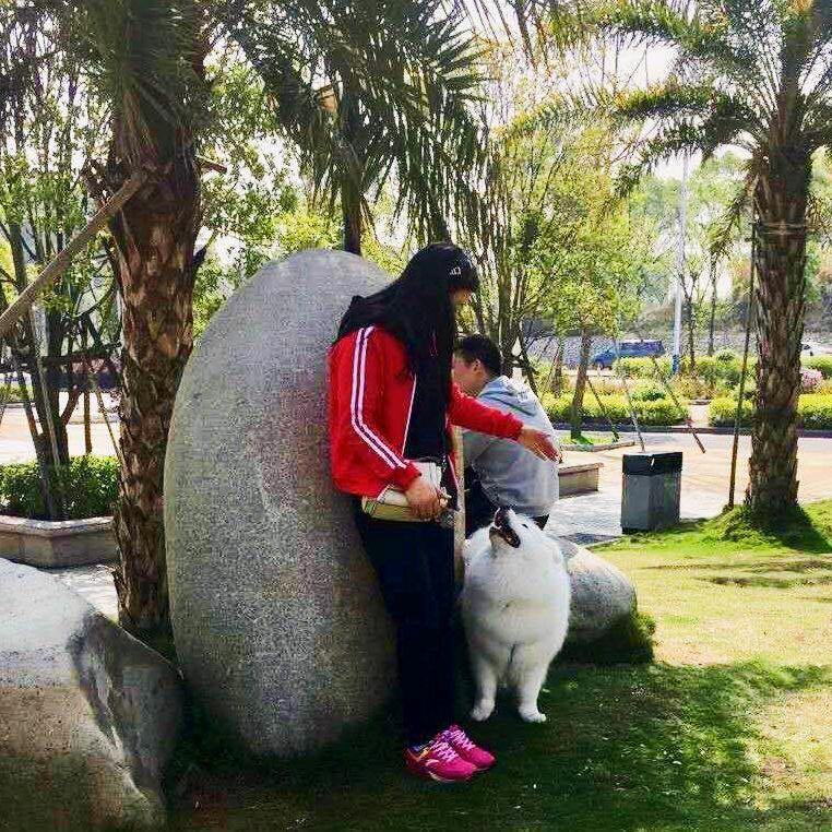 厚德载物