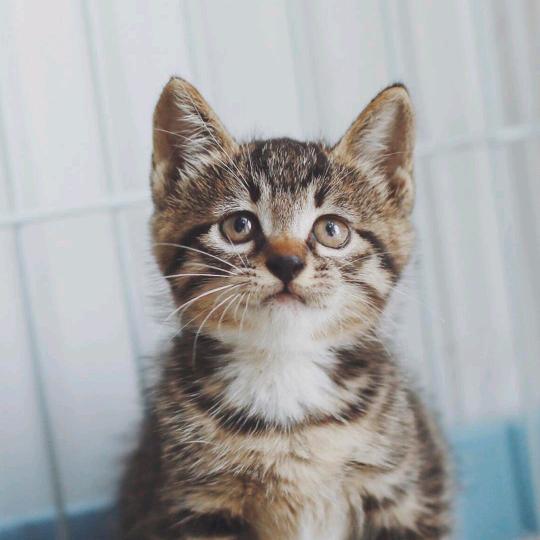 555~