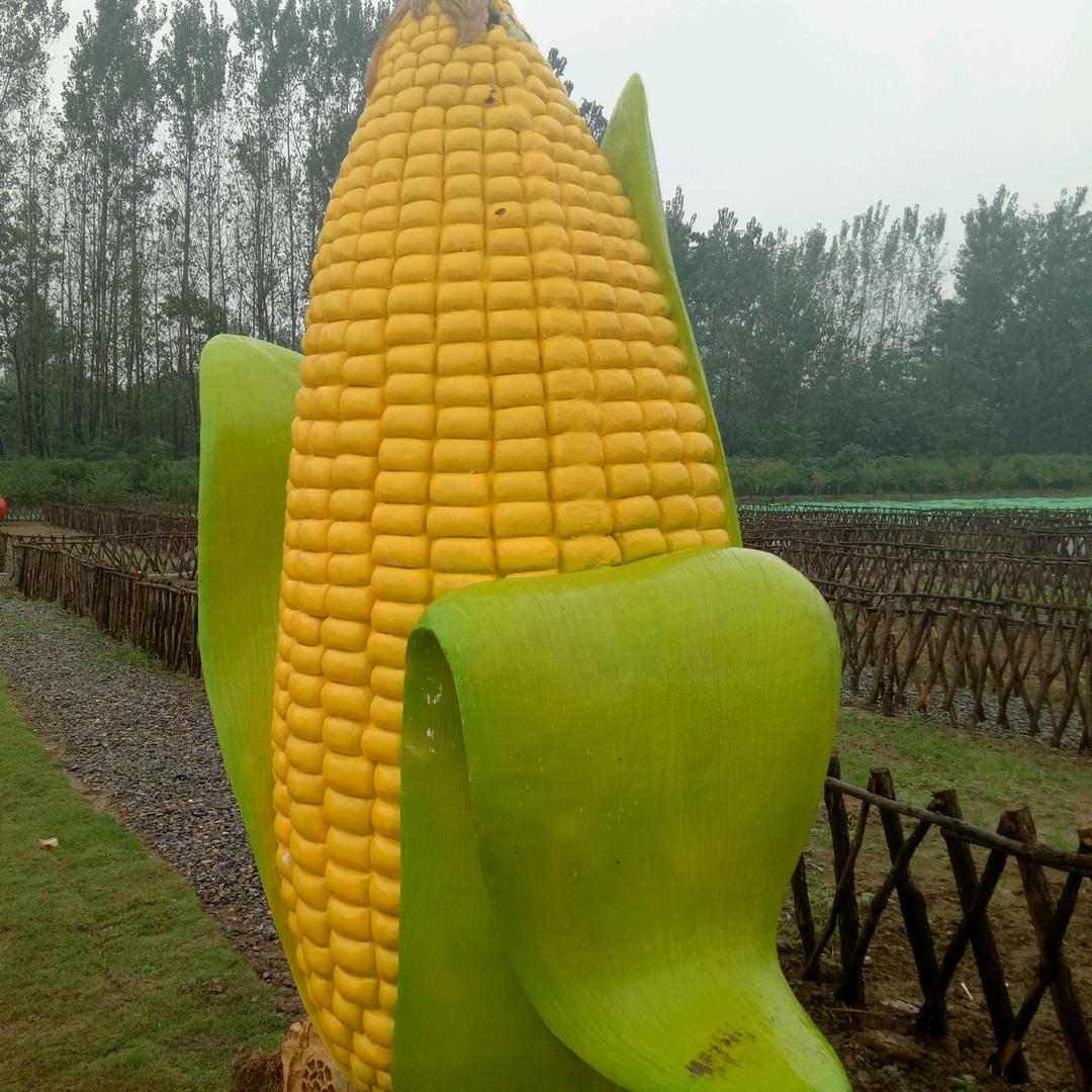 太阳