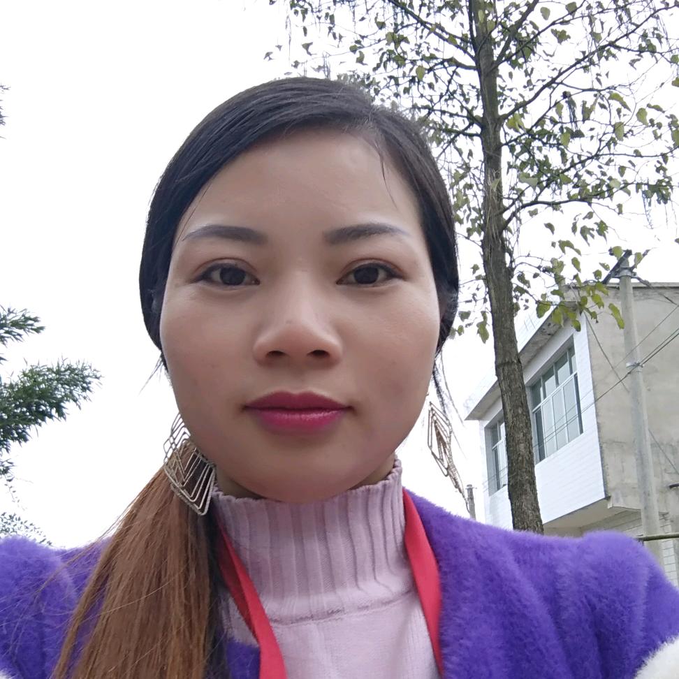 向日葵的执着