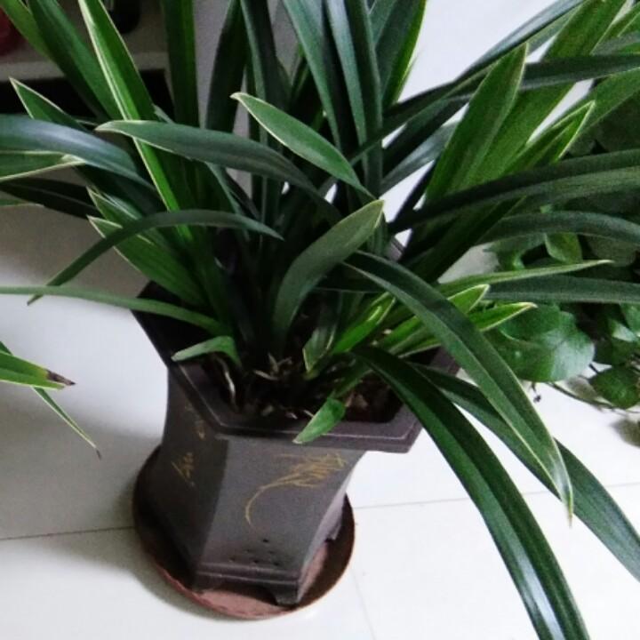 安老师讲俄语