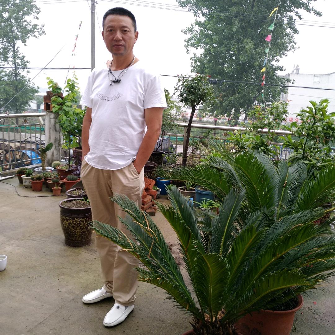 心想事成