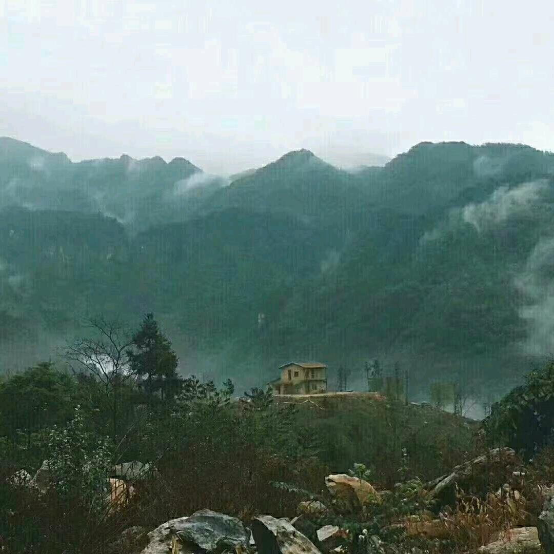 吴糖