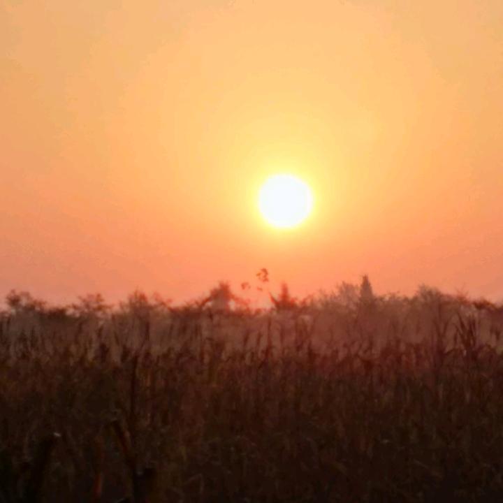 为了明天