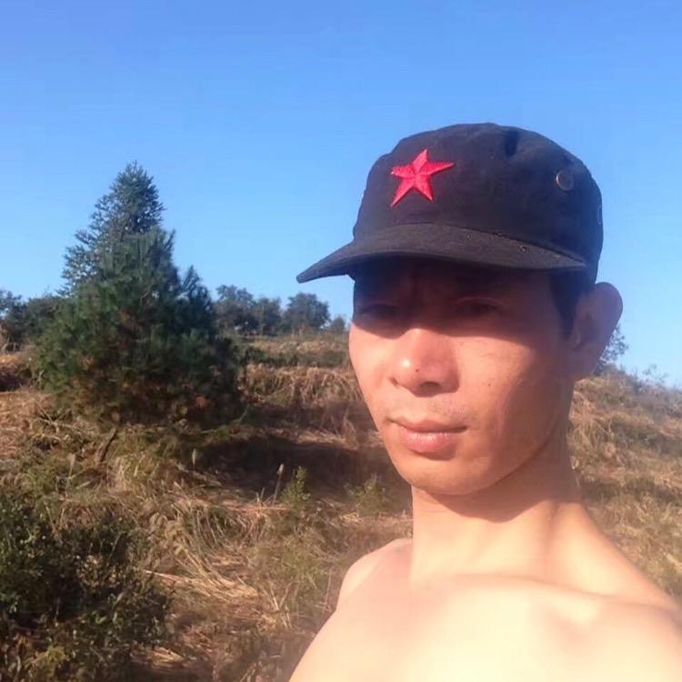 小牛