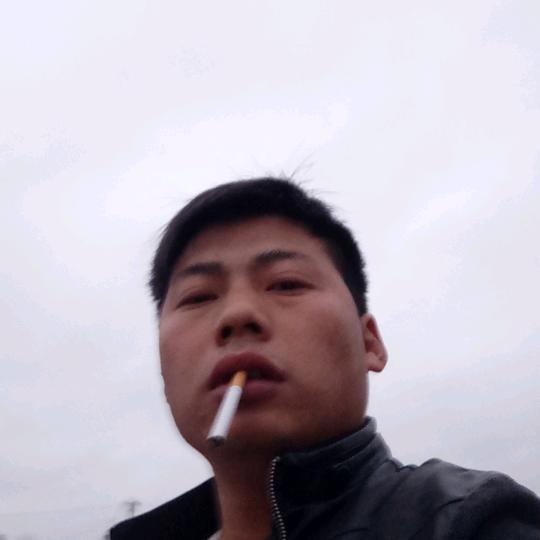 杨仔